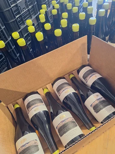 Botellas preparadas en la bodega