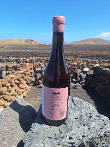 El vino que nace del volcán